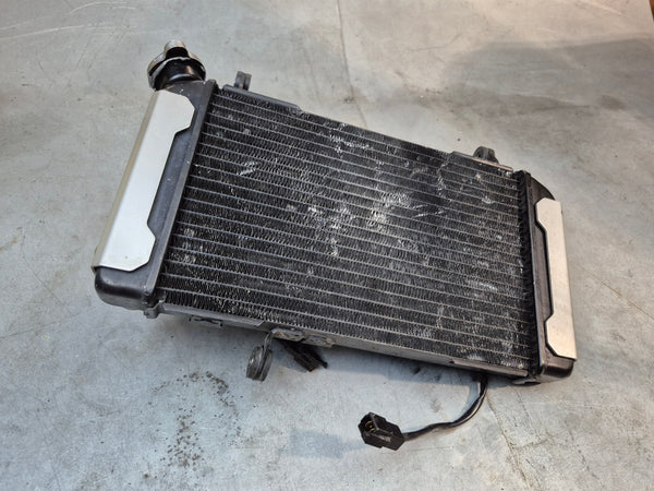 Radiator 1g sv650 N model 99-02