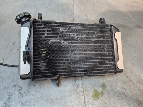 Radiator 1g sv650 N model 99-02