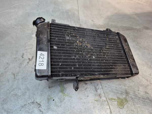 Radiator 1g sv650 N model 99-02