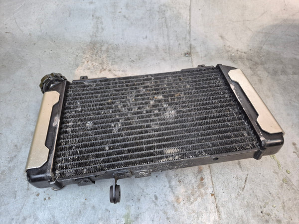 Radiator 1g sv650 N model 99-02 No Fan