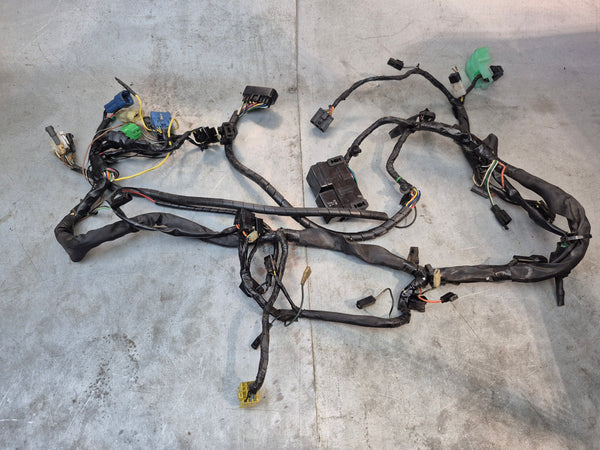 Wiring Harness 1g sv650 N 99-02
