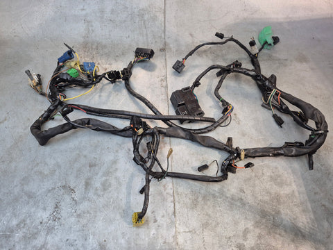 Wiring Harness 1g sv650 N 99-02