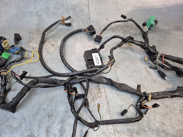 Wiring Harness 1g sv650 N 99-02