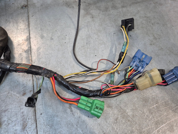 Wiring Harness 1g sv650 N 99-02