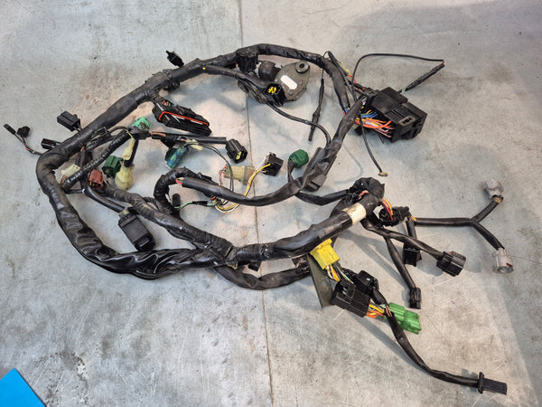 Wiring Harness 2g sv650 N 05-06