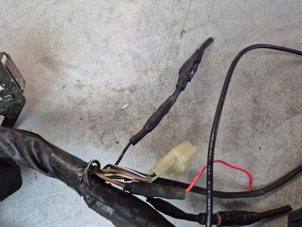 Wiring Harness 2g sv650 N 05-06