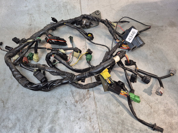 Wiring Harness 2g sv650 N 05-06