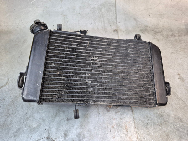 Radiator 1g sv650 S model 99-02