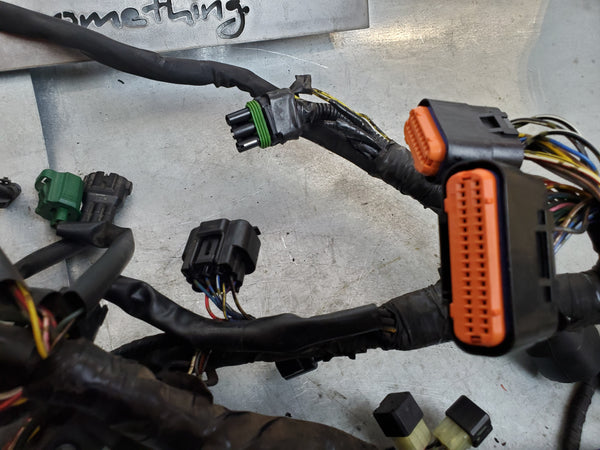 wiring harness sv1000 06+